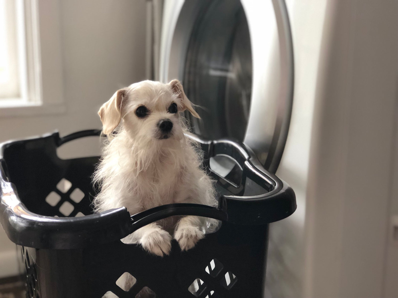 How often should you change your bedsheets