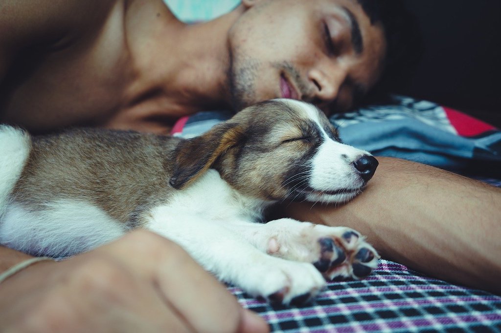 Sleeping with dog