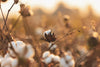 Cotton vs. Polycotton Sheets: Which One Is Right For Your Bed?