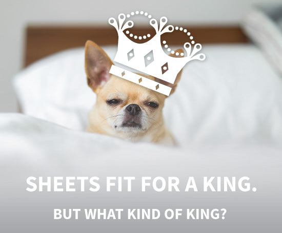 Dog with crown on bed, text: Sheets fit for a king, but what kind of king?