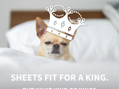 Dog with crown on bed, text: Sheets fit for a king, but what kind of king?