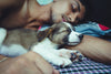 Sleeping with dog