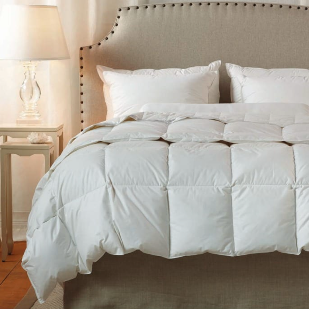 Comforters &amp; Blankets