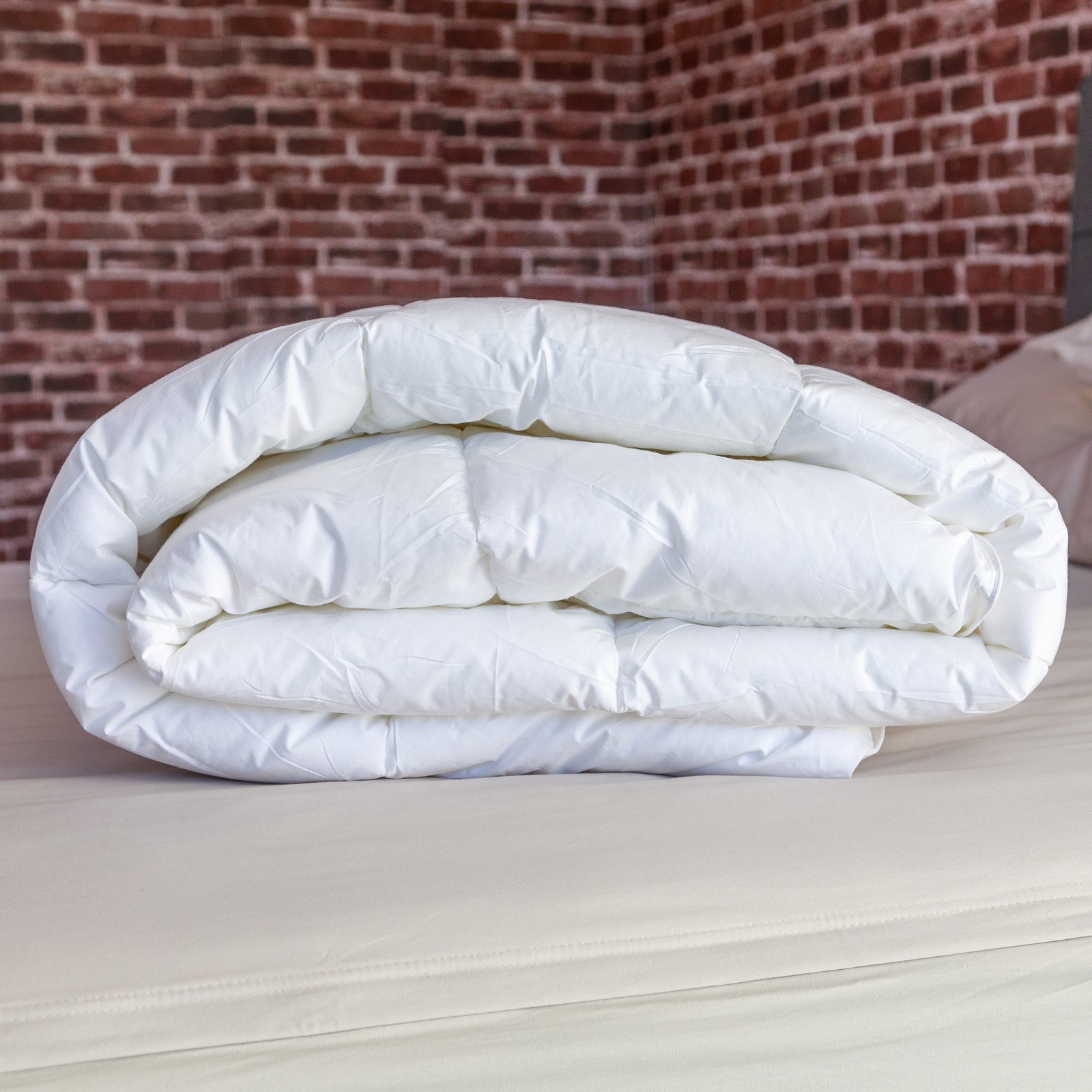 Comforters & Blankets - QuickZip Sheet